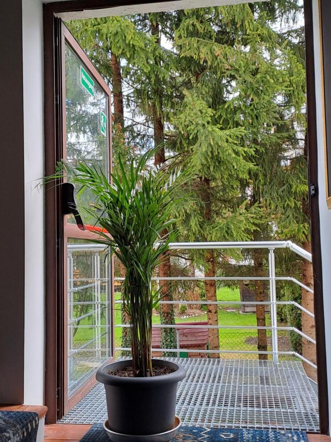 Zwei Hirsche Villa Seefeld in Tirol Eksteriør bilde